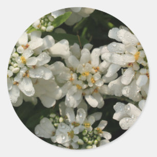 Elegant White Flowers Wedding Invitation Classic Round Sticker