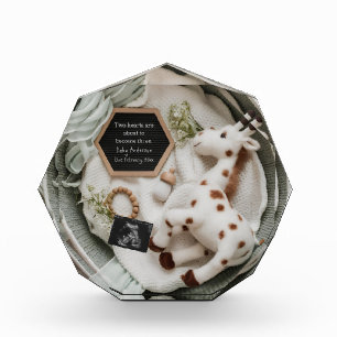 Elegant white giraffe pregnancy announcement photo block