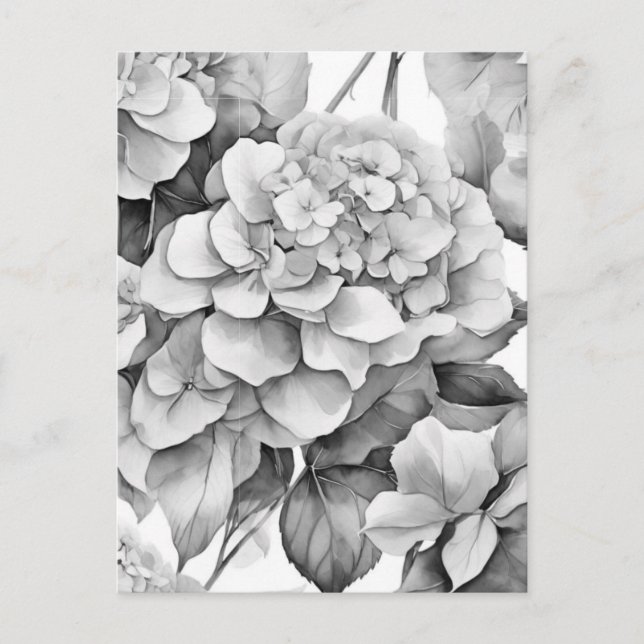 Elegant white gray black floral watercolor  postcard (Front)