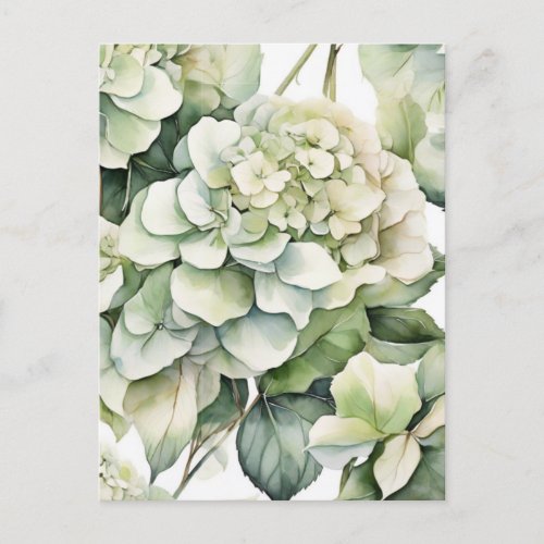 Elegant white green watercolor floral hydrangeas postcard