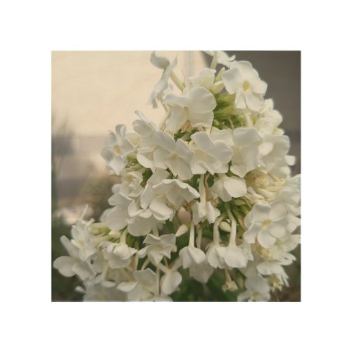 Elegant White Hydrangea Floral Wood Wall Art | Bot