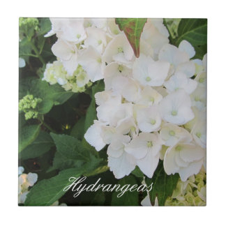 Elegant White Hydrangeas Ceramic Tile