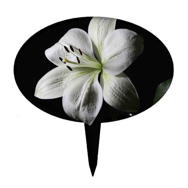 Elegant White Lily Cake Pick (Front)
