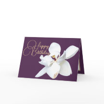 Elegant White Magnolia Botanical Colorful Birthday