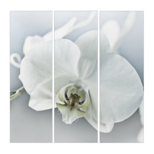 Elegant White Orchid Botanical Art