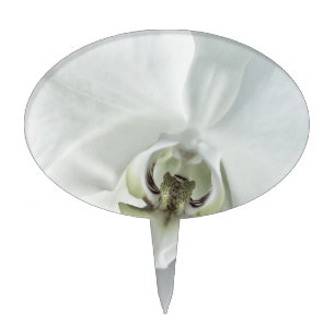Elegant White Orchid Botanical Art Cake Topper