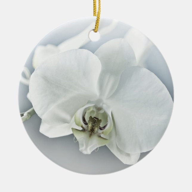 Elegant White Orchid Botanical Art Ceramic Ornament (Front)
