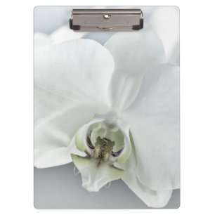 Elegant White Orchid Botanical Art Clipboard