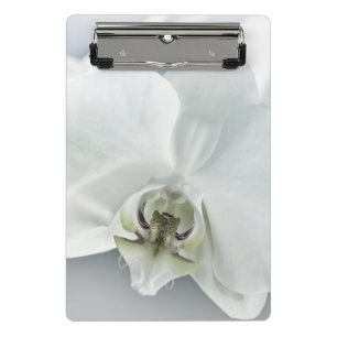 Elegant White Orchid Botanical Art Mini Clipboard