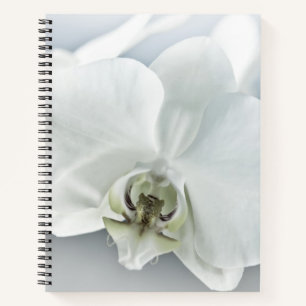 Elegant White Orchid Botanical Art Notebook