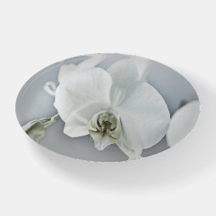 Elegant White Orchid Botanical Art Paperweight
