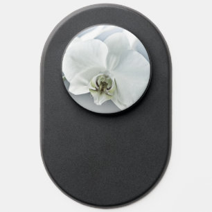Elegant White Orchid Botanical Art PopSocket