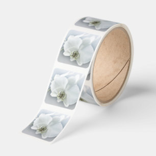 Elegant White Orchid Botanical Art Square Sticker