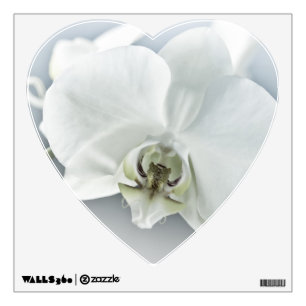 Elegant White Orchid Botanical Art Wall Sticker