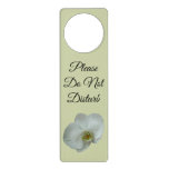 Elegant White Orchid Flower Botanical Door Hanger