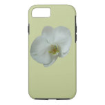 Elegant White Orchid Flower iPhone 8/7 Case