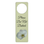 Elegant White Orchid Flower Door Hanger