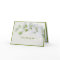 Elegant White Orchid Flowers Green Buds Romantic