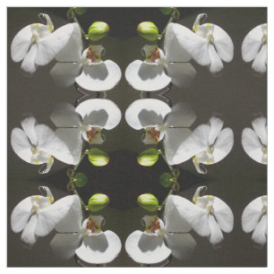 Elegant white orchid photo tropical white floral fabric