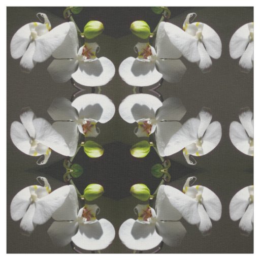 Elegant white orchid photo tropical white floral  fabric