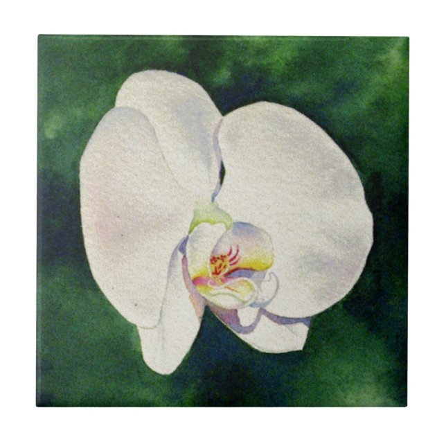 Elegant White Orchid watercolor painting Ceramic Tile (Front)