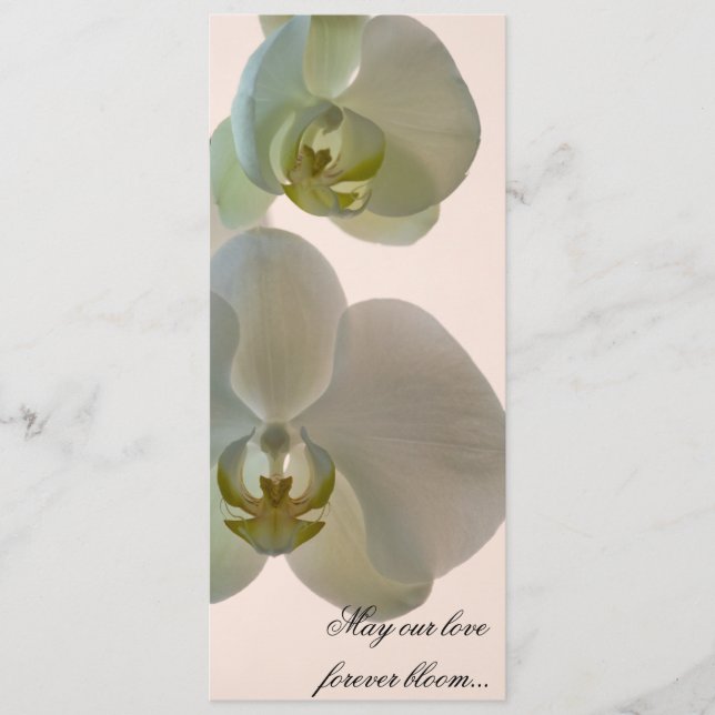 Elegant White Orchids on Pink Wedding Program (Front)