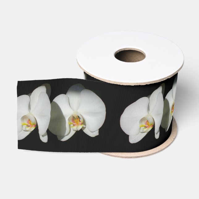 Elegant White Orchids, tropical floral photo Grosgrain Ribbon (Spool)