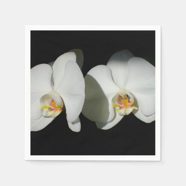 Elegant White Orchids, tropical floral photo Napkins (Front)