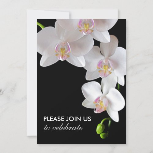 Elegant White Orchids WeddingAny_Occasion Invites