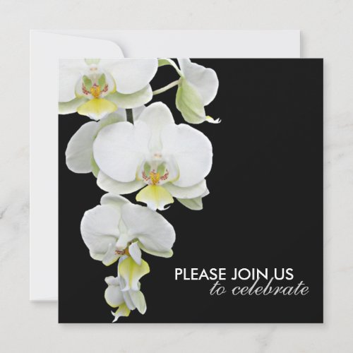 Elegant White Orchids Wedding/Any-Occasion Invites