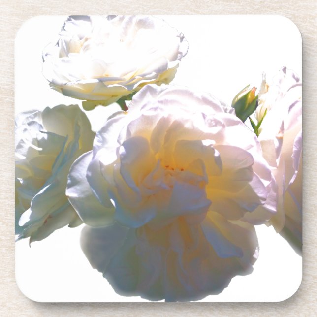 Elegant white peach orange blush roses beverage coaster (Front)