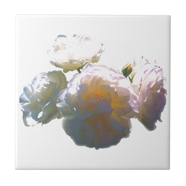 Elegant white peach orange blush roses ceramic tile (Front)