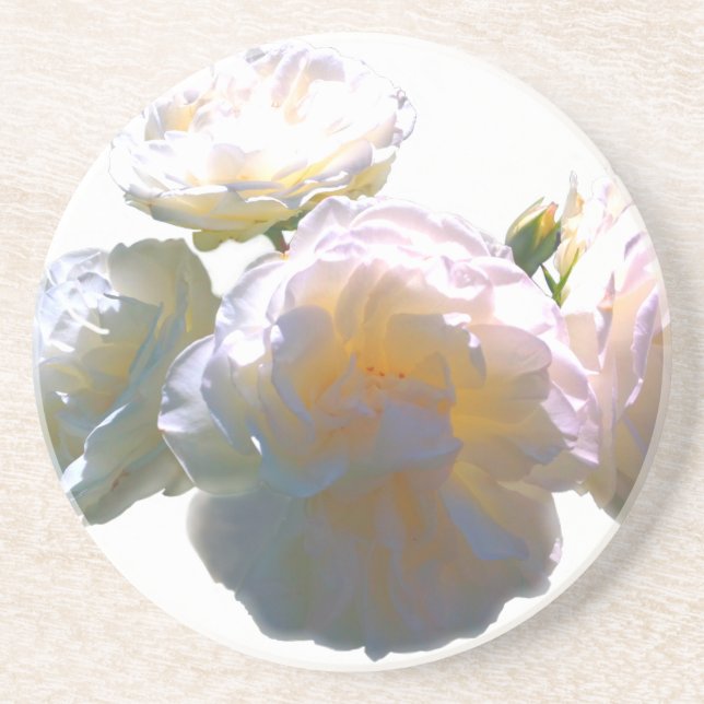 Elegant white peach orange blush roses coaster (Front)