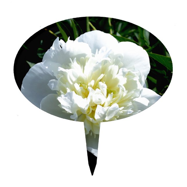 Elegant white peony floral white flower photo cake topper (Front)