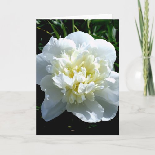 Elegant white peony floral white flower photo card