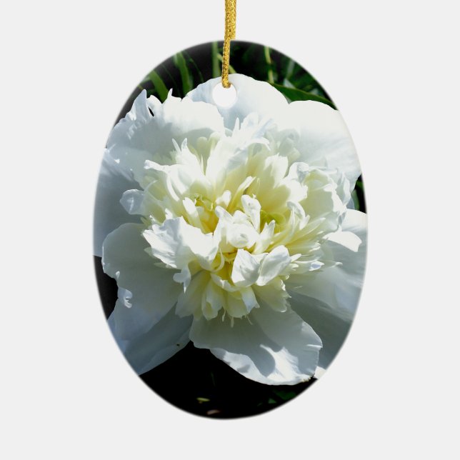 Elegant white peony floral white flower photo ceramic ornament (Front)
