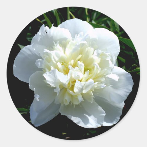Elegant white peony floral white flower photo classic round sticker