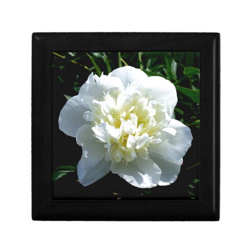 Elegant white peony floral white flower photo jewelry box
