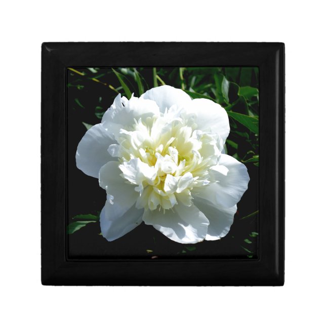 Elegant white peony floral white flower photo jewelry box (Front)