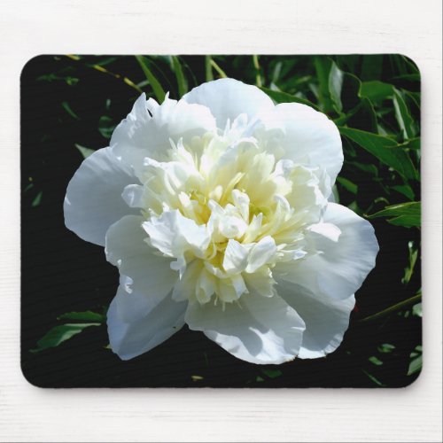 Elegant white peony floral white flower photo mouse pad