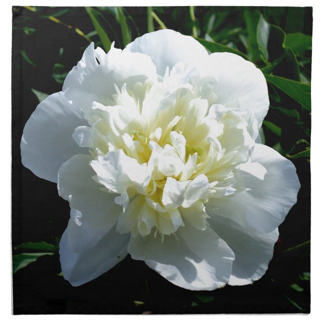 Elegant white peony floral white flower photo napkin (Front)