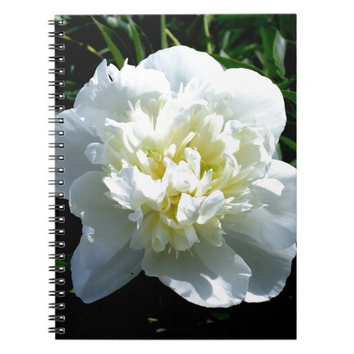 Elegant white peony floral white flower photo notebook
