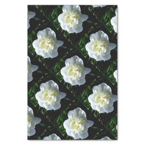Elegant white peony floral white flower photo tissue paper