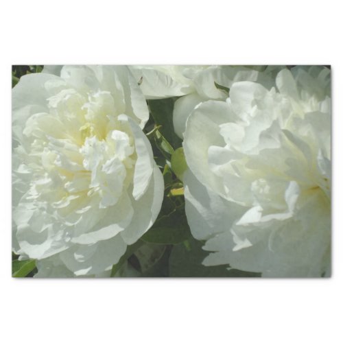 Elegant white peony floral white flower photo tissue paper