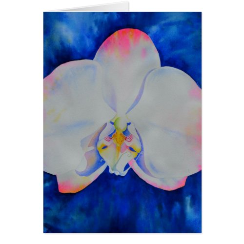 Elegant white pink watercolor floral orchid 