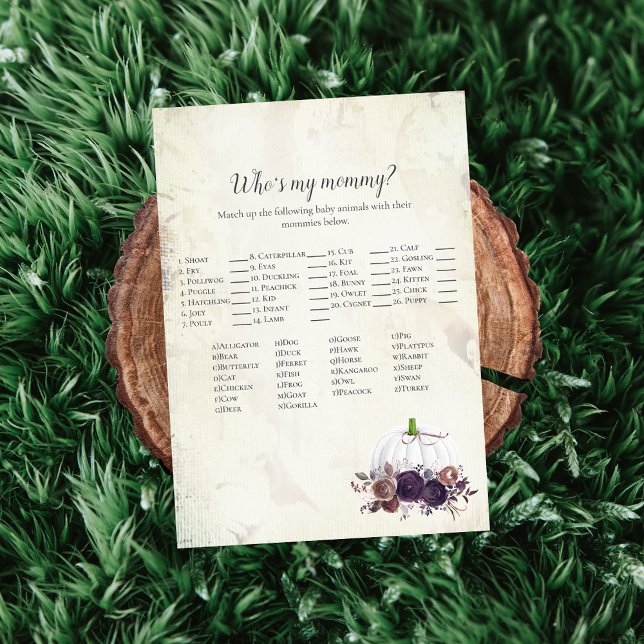 Elegant White Pumpkin Who's My Mommy Game Invitation (Creator Uploaded)