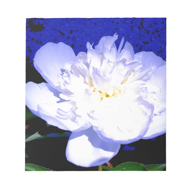 Elegant white purple blue floral flower peony notepad (Front)