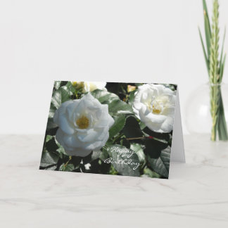 Elegant White Rose Birthday Card