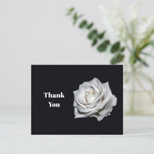 Elegant White Rose Floral Photo Thank You Postcard | Zazzle