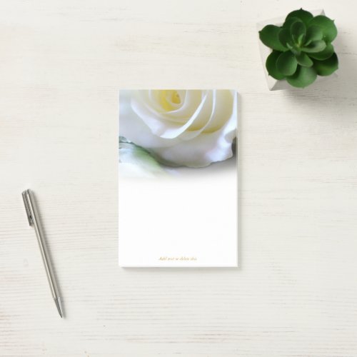 Elegant White Rose Post_it Notes
